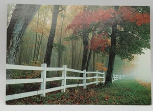 1996 White Picket Fence In Forest Happy Birthday Card Unknown Brand - Picture 1 of 3
