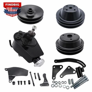 Complete Power Steering Pump 2 Groove Pulleys Bracket Kit For SBC Chevy 350 LW - Foto 1 di 24