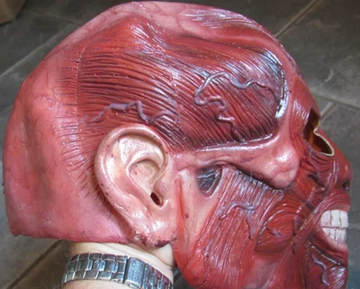 Skinner Mask Skinned Face Scary Monster Halloween Adult Costume Rubies 2006 - Image 1 of 4