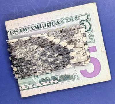 Real Eastern Diamondbacks Serpiente de Cascabel Piel de Serpiente Exótico Magnético Clip de Dinero #128 Foto 1 de 4