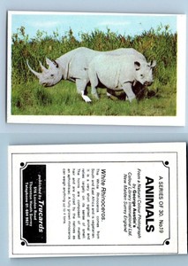 White Rhinoceros #19 Animals 1972 Trucards