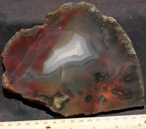 A-248 ~ 12.1oz Slab Timor Island Agate - Picture 1 of 12