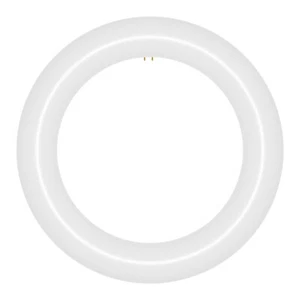 9 in. T9 G10q Type A Plug & Play Circline LED Replacement for 30 Watt FCL30EX - Picture 1 of 8