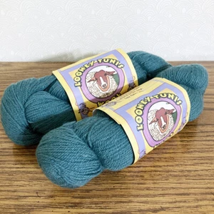 Hilo de lana Looney Tunis azul-verde 400yd Worsted B + Y granja NY local descontinuado - Imagen 1 de 7