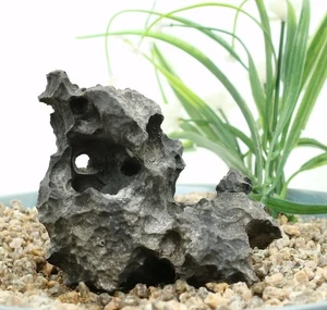 Viewing stone suiseki-scholar rock Ying stone Rough Decor Rockery bonsai J283 - Picture 1 of 5