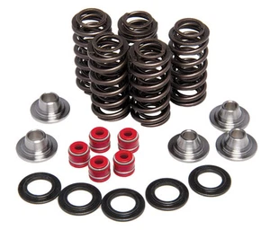 Yamaha YFZ450 YFZ450R Kibblewhite Titanium Valves Springs Retainers Seals Kit - Foto 1 di 1