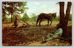 Ozarks Living Hillbilly Estilo Fauces Arados Pata Bebidas Brillo Lunar Jarra MO AR Postal - Imagen 1 de 3
