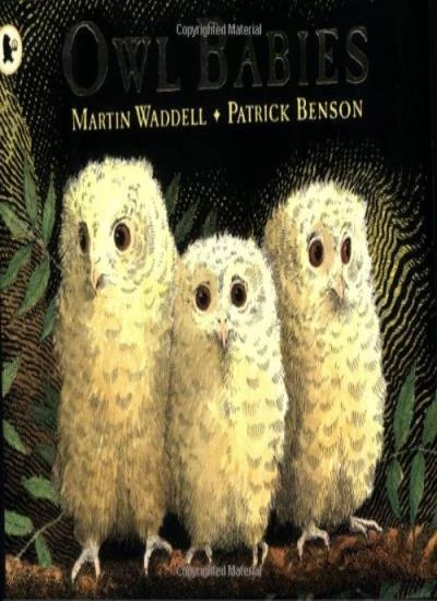 Owl Babies By Martin Waddell. 9780744531671 - Image 1 of 1