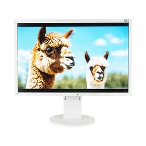 EIZO FlexScan EV2430 24,1 Zoll LED Monitor 1920x1200 16:10 14ms 60Hz DP Pivot sg - Bild 1 von 6