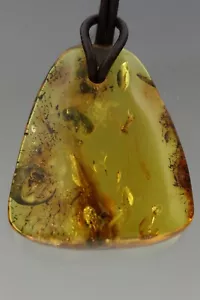 CRANE FLY Genuine BALTIC AMBER Adjustable Leather String Pendant 10.9g 191114-9 - Picture 1 of 5
