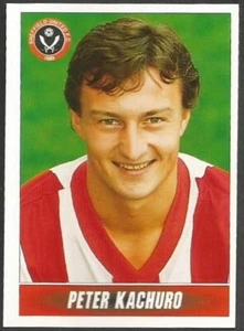 LIGA NACIONAL PANINI 1997- #297-SHEFFIELD UNITED-PETER KACHURO - Imagen 1 de 1
