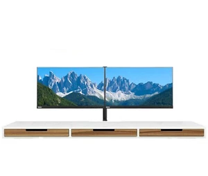 Dual Monitor Bundle - Lenovo T24i-10 24" IPS LED FHD 1080p - HDMI DISPLAY VGA - Picture 1 of 10