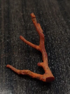 Antique Red Coral Unpolished Loose Branch-Natural Italian Red Coral Rough Tree - Picture 1 of 10