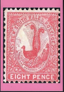 1888 8d Magenta Lyrebird Stamp NSW Australia --- A6 Postcard Size Photo Print - Picture 1 of 1