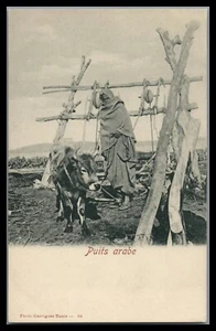 Tunisia "Puits Arabe " Vintage Post Card Arab at the Well - Picture 1 of 2