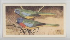 1963 Brooke Bond Wildlife in Danger Tea Splendid Parrakeet #39 4az