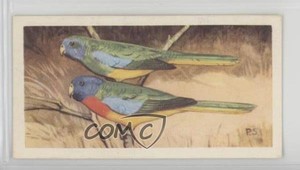 1963 Brooke Bond Wildlife in Danger Tea Splendid Parrakeet #39 4az