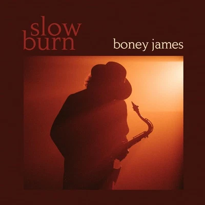 Boney James Slow Burn (CD) (US IMPORT) - Bild 1 von 3