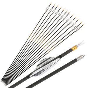 31" Pure Carbon Arrow SP700-1000 Archery Spin Wing Vane Compound Bow Shoot .001" - Picture 1 of 21