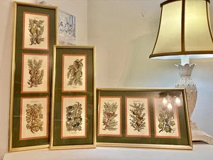 Set of 3 Vintage beautifully framed a variety of Botanical prints. - Picture 1 of 10
