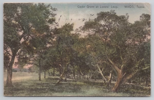 Waco TX, Cedar Grove at Lovers Leap, Texas Postcard Limestone Bluff - Picture 1 of 5
