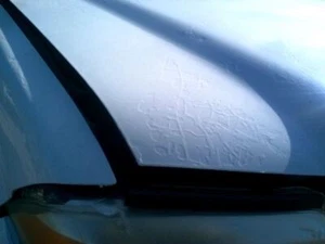 Chassis ECM Body Control BCM 2WD ID 3677082Z20 Fits 09-10 EQUATOR 1047669 - Picture 1 of 10