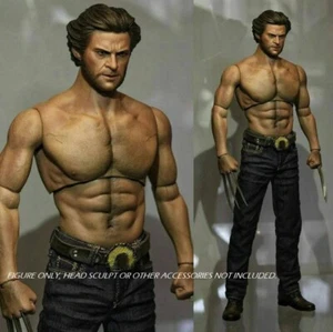 WorldBox 1/6 Musculoso Masculino Fuerte Duradero Cuerpo para Wolverine Logan *US STOCK* - Imagen 1 de 1