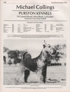 WELSH TERRIER DOG WORLD 1979 BREED KENNEL ADVERT PRINT PAGE PURSTON KENNELS - Picture 1 of 1