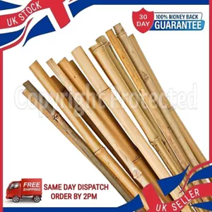 ZEHN 3 FUSS 90 CM NATÜRLICHE BAMBUS HOLZ STÖCKE GARTEN PFLANZENSTÜTZE STAB WACHSENDE BLUME - Bild 1 von 4
