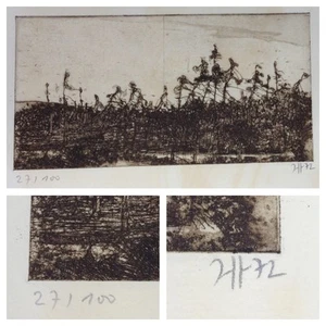 Horst Janssen: grabado original, firmado a mano + numerado 27/100 1972 - Imagen 1 de 1