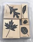 Stampin Up! Autumn Fest set of 5 WM Fall Leaves Acorn