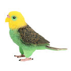  Modell Einer Papageienfigur Kinderspielzeug Dekoration Wellensittich
