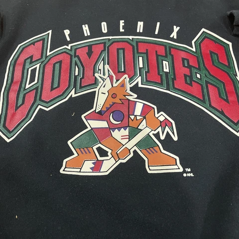 Vintage 90s Phoenix Arizona Coyotes NHL SweatShirt Unisex Men Women Large USA Cover