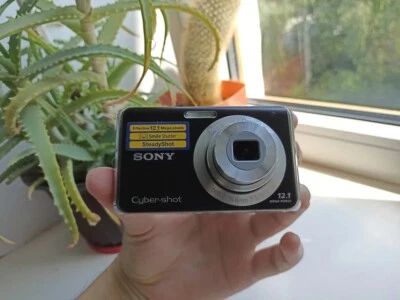 Sony Cyber-shot DSC-W190 12.1MP 3x Optical Zoom Digital Camera - 100% Working - Image 1 of 4