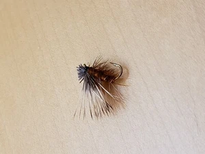 Elk Hairs Cadiss Brown # 14, 1 Dozen - Picture 1 of 1