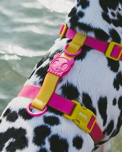 Arnés en H ZEE.DOG NeoPro Lyra rosa perro | resistente a la intemperie | resistente al agua exterior - Imagen 1 de 4