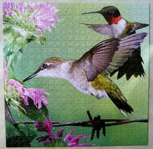 Buffalo Games Audubon Puzzle RUBIN-KEHLIBRI 500 Stck. 18 x 18 EUC - Bild 1 von 5