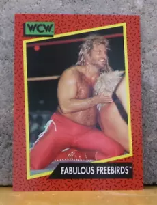 WRESTLING CARD WCW FABULOUS FREEBIRDS MICHAEL P.S. HAYES & JIMMY JAM GARVIN #120 - Picture 1 of 2