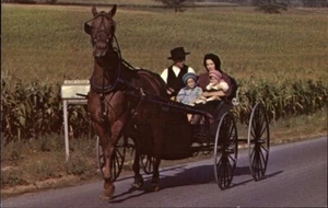 AMISH Pennsylvania, Ohio Amish, Living by the book, Amish People; MINT - Bild 1 von 2