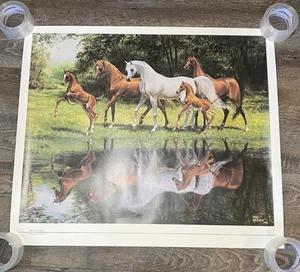 Mary Haggard, "Reflections" 1990, AHT Colored Print 31.5 x 27 - Picture 1 of 11