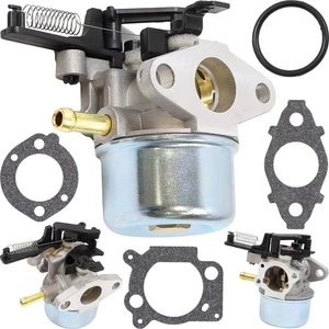 Carburador Briggs Stratton 775ex 800 850 ex eco 591137 590948 799226 593599 595390 - Imagen 1 de 10