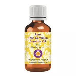 Pure Rose Geranium Essential Oil (Pelargonium roseum) 100% Natural Therapeutic - Picture 1 of 248