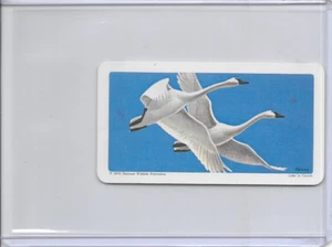 1970 Trumpeter Swan National Wildlife In Danger Federation Card #23 Series 13 - Picture 1 of 2