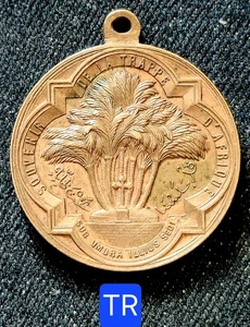 Algérie Rare Méd. Cuivre 32,5mm- Trappe d'Afrique (ND Staoueli) Par L Penin 1848 - Imagen 1 de 3
