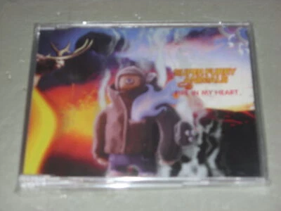 Super Furry Animals:  Fire in my heart  CD Single  NM ex shop stock Foto 1 de 2