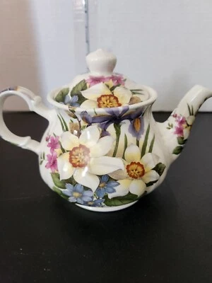 Tetera Sadler Vintage Amaryllidaceae Windsor Bone China Inglaterra Tamaño Completo Foto 1 de 4