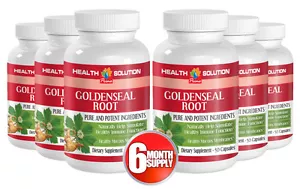 Cápsulas Aumentar el Apetito - Raíz Sello de Oro 520 mg - Hydrastis Canadensis 6B - Imagen 1 de 12