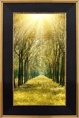 Marco de fotos 8X12 diseño dorado clásico montaje en pared ideal para fotos de paisaje Foto 1 de 4