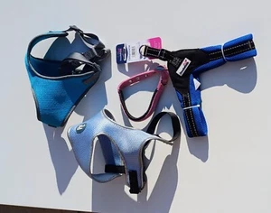Dog Bundle Doodlebone Harness And 2 Others Collar 4 items in total - Picture 1 of 2