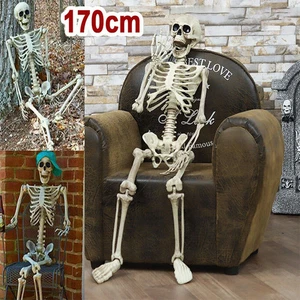 Body Bones Movable/Posable Joints Simulation Skull Theme Full Size Decorations - Picture 1 of 17